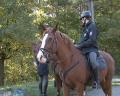 Policisté kontrolovali chaty Policisté kontrolovali chaty