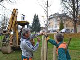 Díky projektu bylo v Luhačovicích a Pozlovicích vysazeno 150 stromů Díky projektu bylo v Luhačovicích a Pozlovicích vysazeno 150 stromů