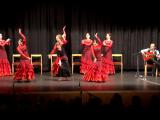 VIDEO: Noc flamenca nadchla tancem i hudbou VIDEO: Noc flamenca nadchla tancem i hudbou