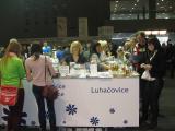 Luhačovice se prezentovaly na veletrhu Regiontour Luhačovice se prezentovaly na veletrhu Regiontour