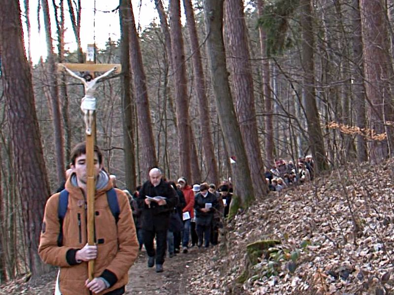 Průvod procházel lesní cestou mezi prameny Viola a Marie, kde jsou umístěna jednotlivá zastavení křížové cesty Průvod procházel lesní cestou mezi prameny Viola a Marie, kde jsou umístěna jednotlivá zastavení křížové cesty