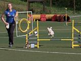 VIDEO: Centrum Radostova hostilo závody v agility VIDEO: Centrum Radostova hostilo závody v agility
