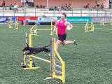 VIDEO: Luhačovice hostily závody v agility VIDEO: Luhačovice hostily závody v agility