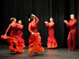 VIDEO: Noc flamenca VIDEO: Noc flamenca