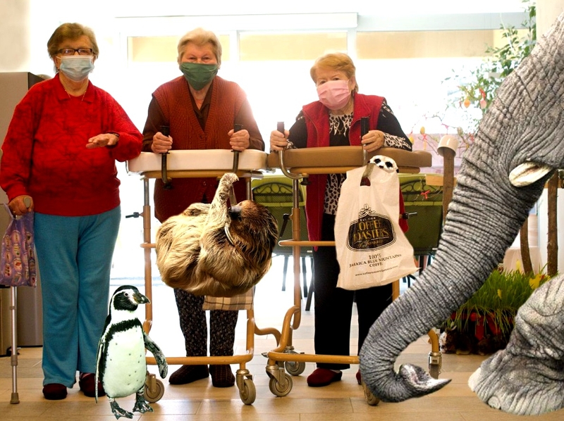 Klienti a zaměstnanci Domova pro seniory Luhačovice pomohli ZOO Lešná. Vzali si k sobě "na víkend" tučňáka, lenochoda i slona Klienti a zaměstnanci Domova pro seniory Luhačovice pomohli ZOO Lešná. Vzali si k sobě "na víkend" tučňáka, lenochoda i slona