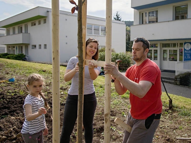 Zasaď si svůj strom Zasaď si svůj strom