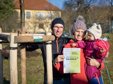 Výsadba stromů v Kladné Žilín byla úspěšná Výsadba stromů v Kladné Žilín byla úspěšná