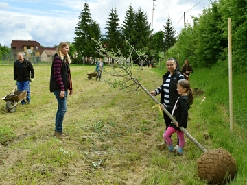 Komunitní výsadba v Polichně Komunitní výsadba v Polichně