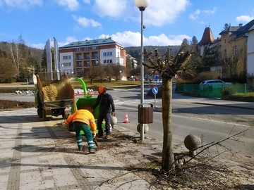 Javory na hlavním tahu potřebovaly ořez Javory na hlavním tahu potřebovaly ořez