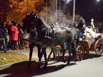 Mikulášská jízda městem poprvé v historickém kočáře Mikulášská jízda městem poprvé v historickém kočáře