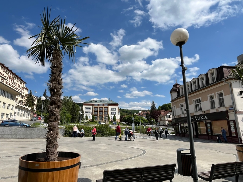 Centrum Luhačovic nově zdobí palmy – živé ozdoby lázeňského města Centrum Luhačovic nově zdobí palmy – živé ozdoby lázeňského města