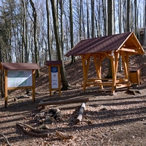 Zřícenina Starý Světlov